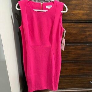 Womens Calvin Klein pink sheath dress size 14 would be a great Easter dress